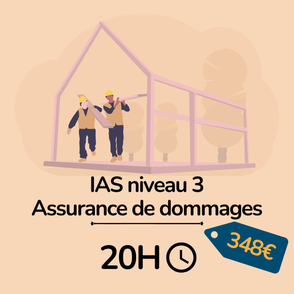 IAS niveau 3 Assurance de dommages