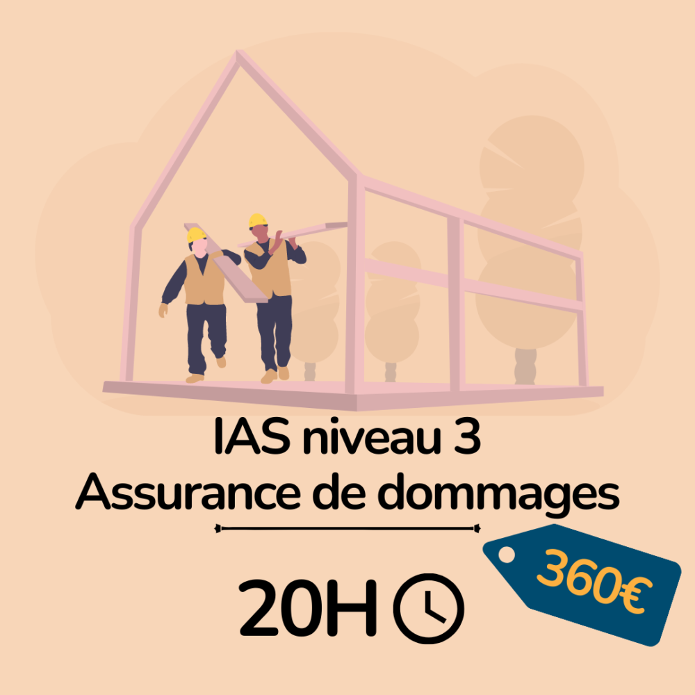 formation assurance - IAS niv 3 Assurance de dommages - essyca