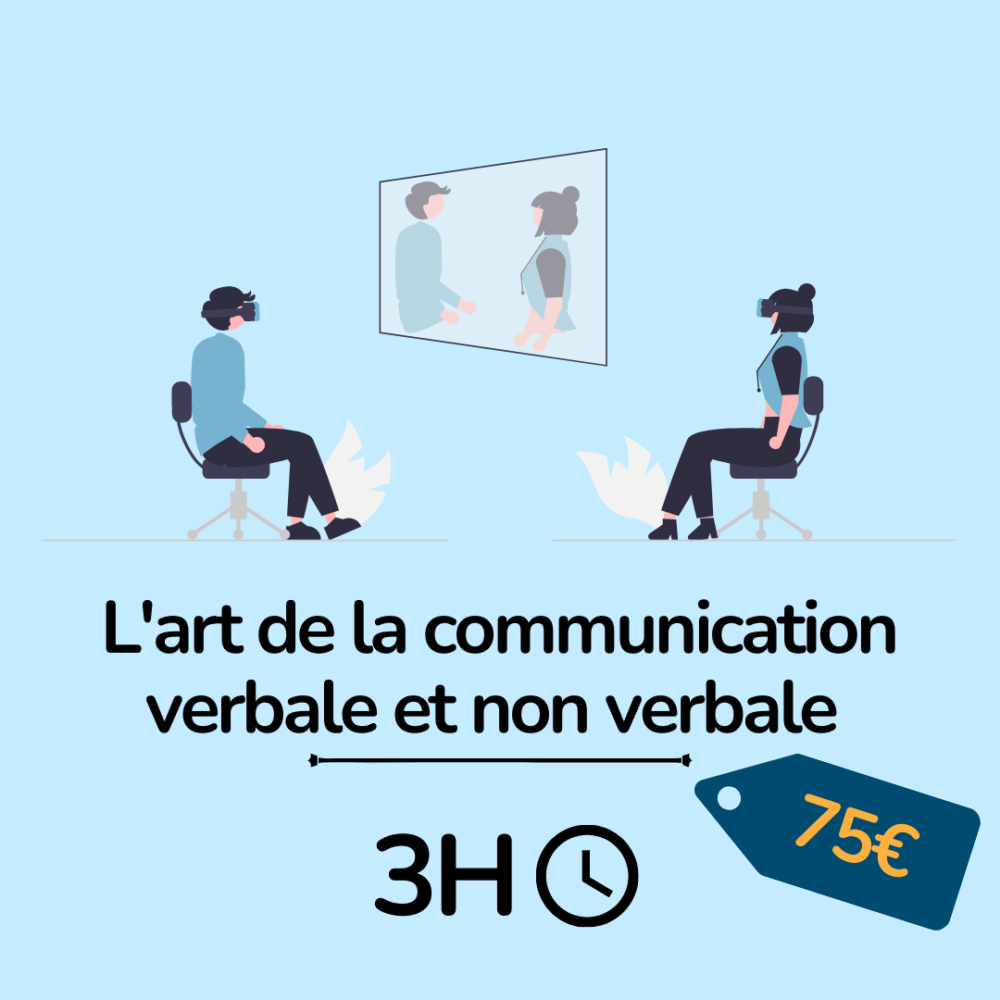 formation immobilier - l'art de la communication verbale et non vebale