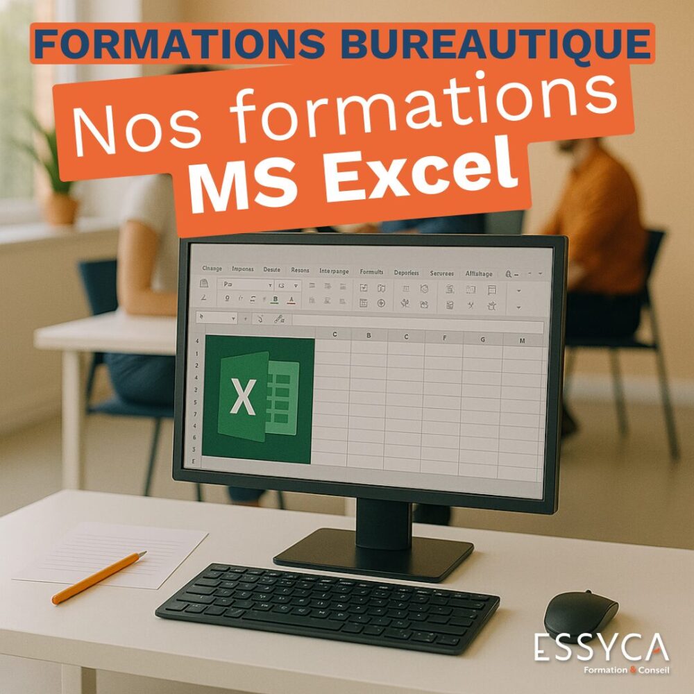 Formations MS Excel